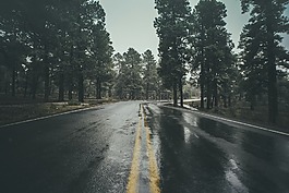湿,路,雨
