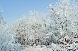 雪,霜,景觀