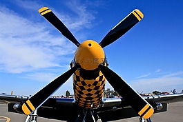 飛機(jī),航空展,野馬