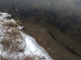 冬天,雪,冰