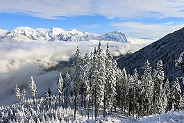 雪域景觀,冬季景觀,阿爾卑斯山