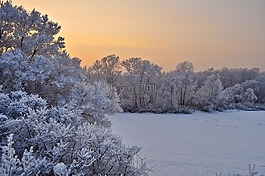 雪,樹,日落
