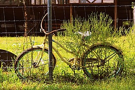 自行車,老,古董