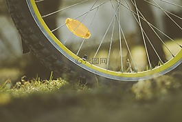 車輪,自行車,戶外