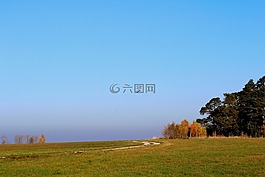 鳥,阿德勒,自由