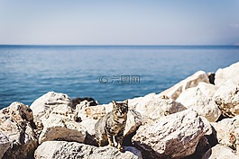 藍(lán)色,海洋,海