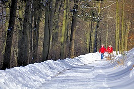 雪,徒步旅行,旅游