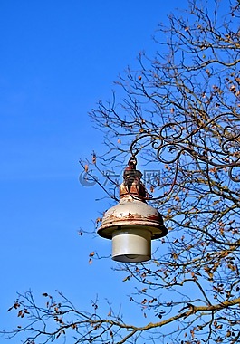 秋季,天空,燈
