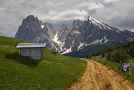 阿爾姆,高山,牛