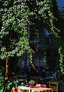 餐廳,戶外,餐飲