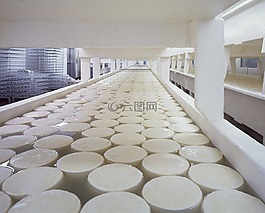 奶酪,乳制品,固化