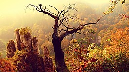 親子鑒定國(guó)家公園,秋,景觀