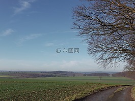 景觀,步行,寬
