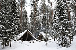 自然,景觀,雪
