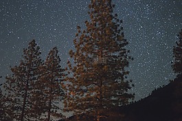黑暗,夜,星星