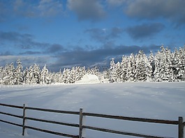 雪房子,牧場,冬天