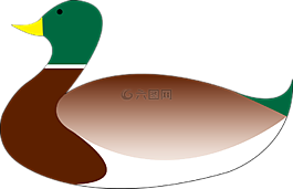 凫,鸭,鸟