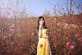 花,自然,樹