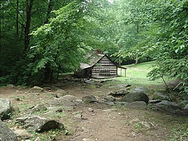 伍茲,河,房子