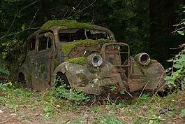 生疏,車,老