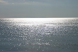 海,太陽,水