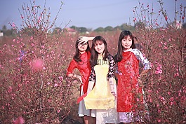 戶外,自然,幸福
