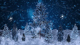冬天,寒冬,雪