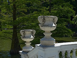 花瓶,公园,树木