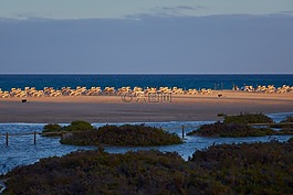 躺椅,海滩,海