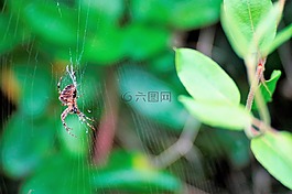 性質(zhì),數(shù)值調(diào)節(jié)鈕,bug