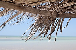 海灘,太陽,夏天