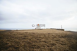 自然,景觀,草