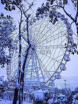 天空,樹,雪
