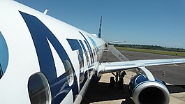 飛機,飛,旅行
