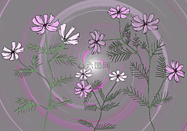 鲜花,背景,壁纸