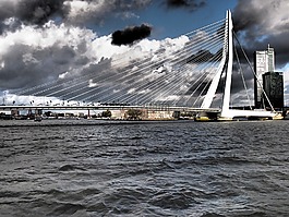 鹿特丹,橋,云