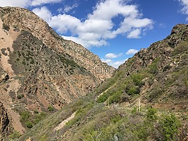 谷,景區(qū),自然