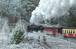 蒸汽机车,schmalspurbahn harzer酒店,树脂