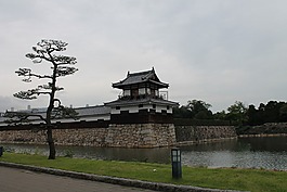 門房子,城堡,樹