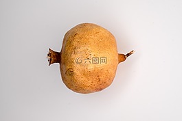 舊,在森林里,悲