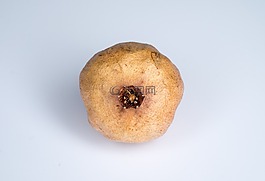 舊,在森林里,悲
