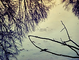 水,反思,天空