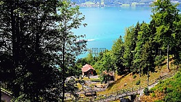 湖景,水,景观
