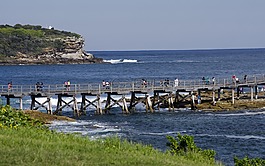 橋,海,海洋