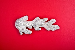 珊瑚,海,古