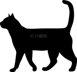 猫,动物,侧影