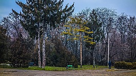 公園,公爵,敖德薩