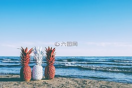 菠蘿,日落,水果