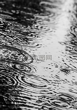 水坑里,水,雨