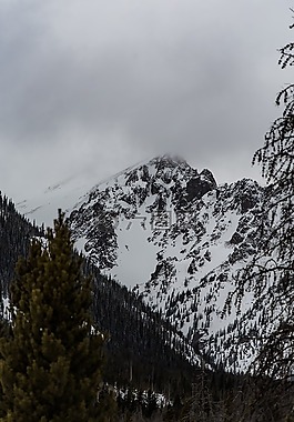雪,冬天,白